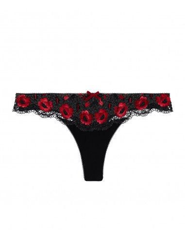 Tanga - Fièvre andalouse