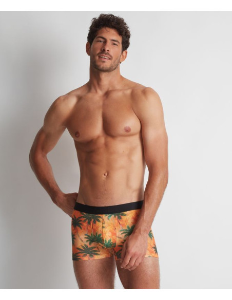 Boxer - Palmier orange