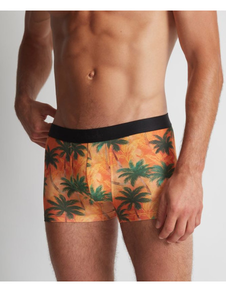 Boxer - Palmier orange
