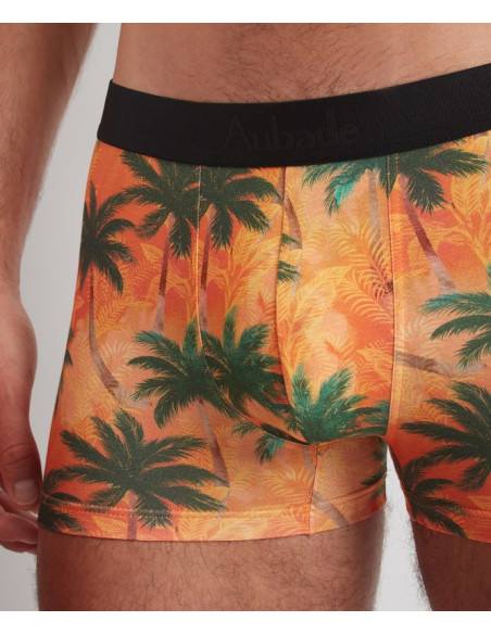 Boxer - Palmier orange
