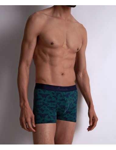 Boxer duo - Libellule Bleu