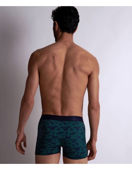 Boxer duo - Libellule Bleu