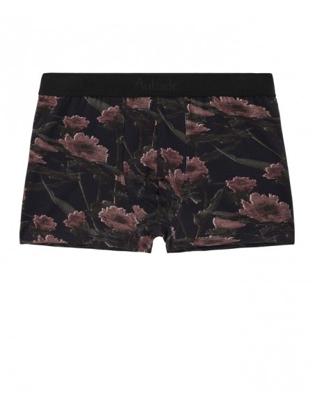 Boxer - Blurred Flowers