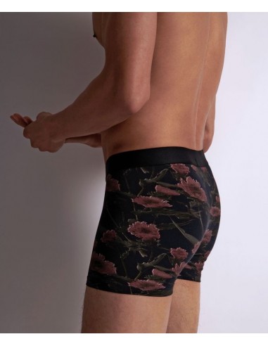 Boxer - Blurred Flowers