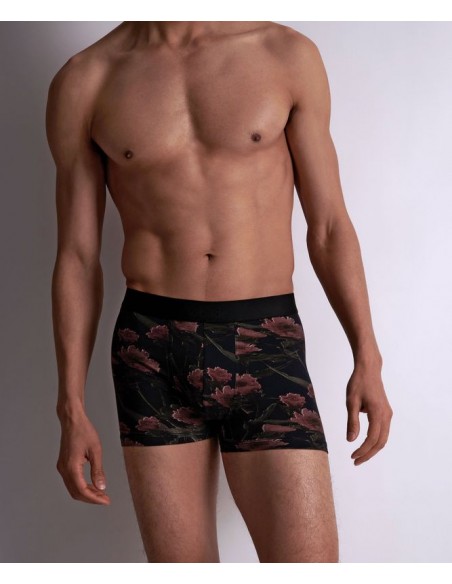 Boxer - Blurred Flowers