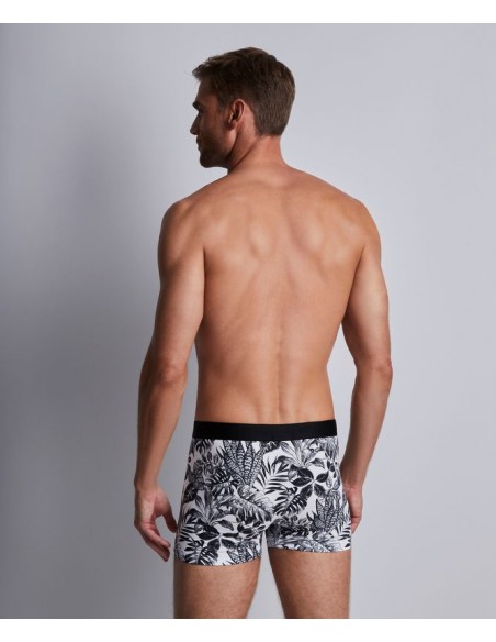 Boxer duo - Black leaves