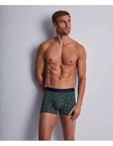 Boxer duo - Green life