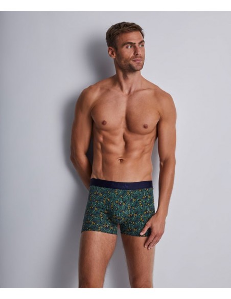 Boxer duo - Green life