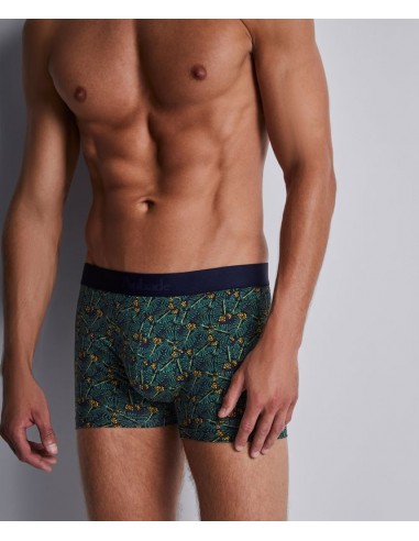 Boxer duo - Green life