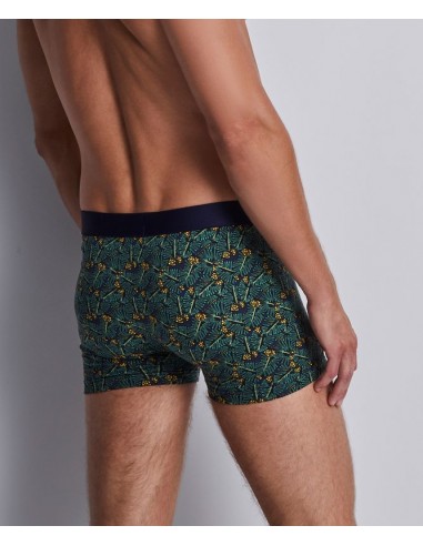 Boxer duo - Green life