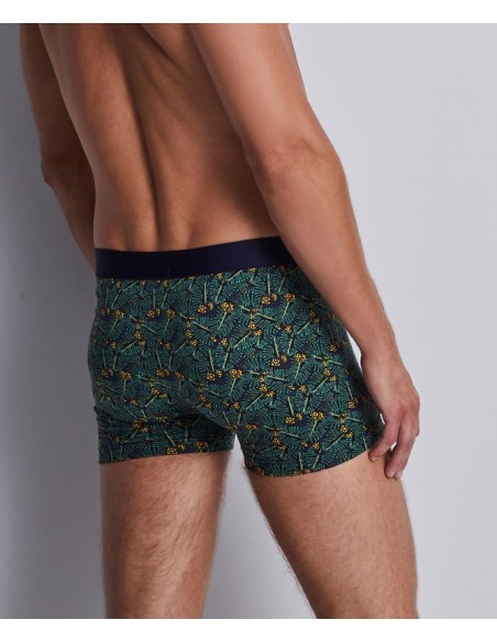 Boxer duo - Green life