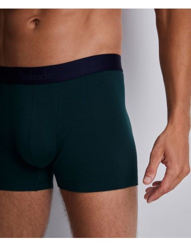 Boxer duo - Green life