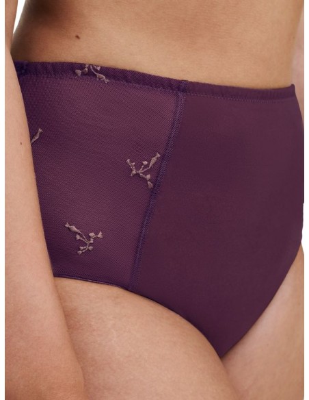 Culotte haute - Every curve